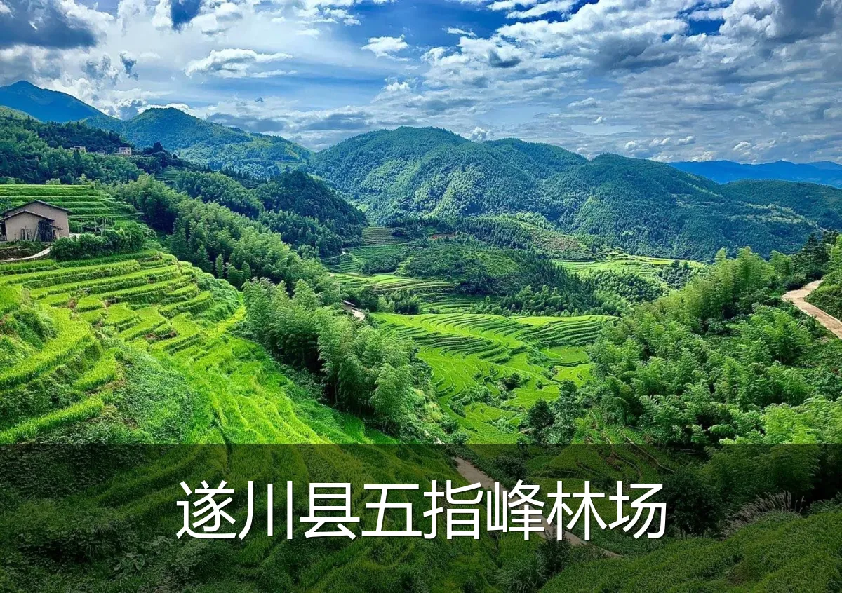 遂川县五指峰林场