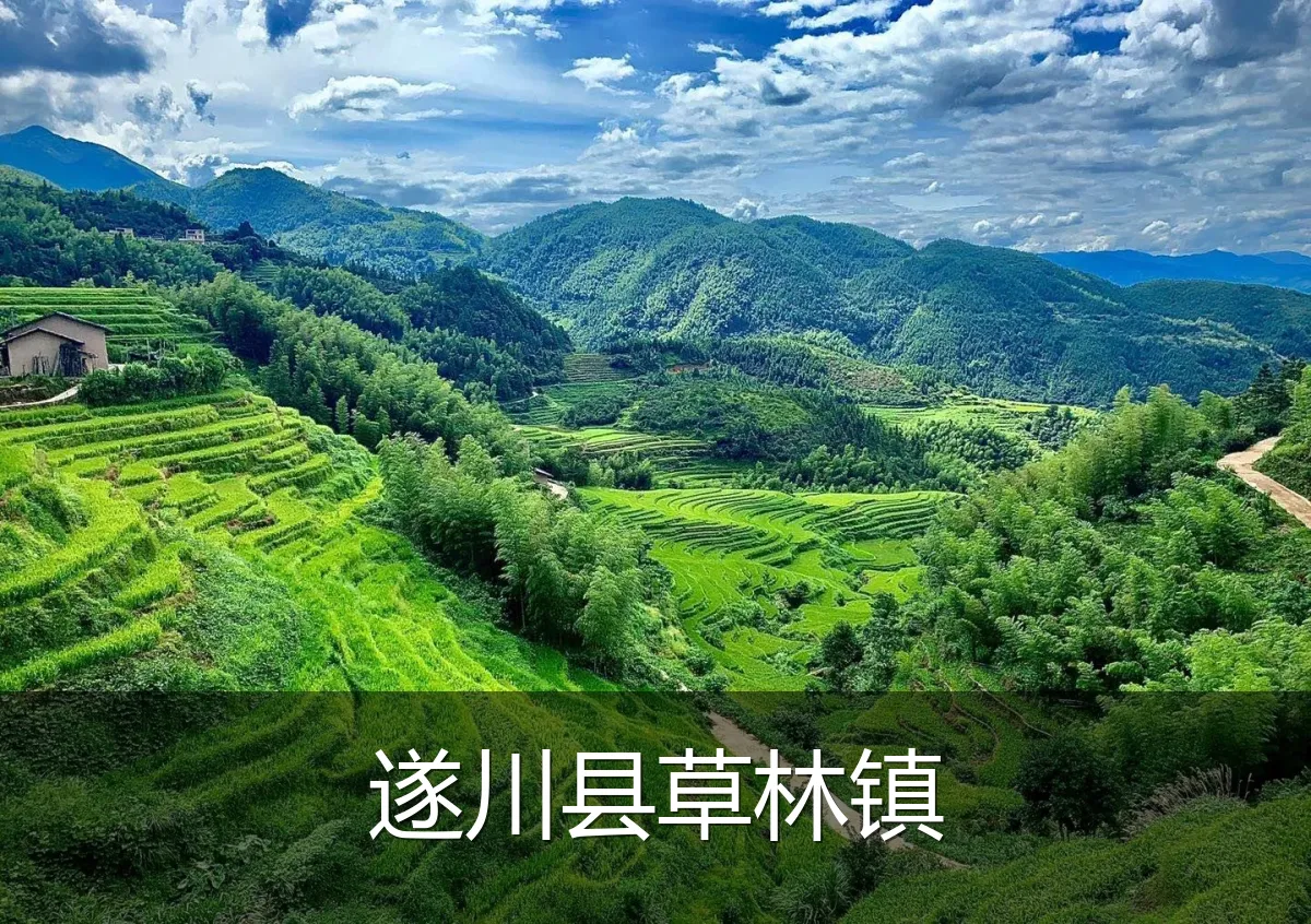 遂川县草林镇